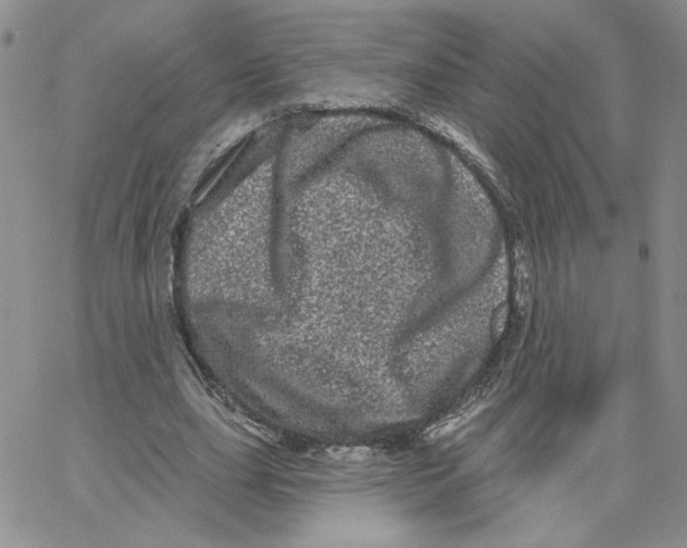 X0000065260631200603131203