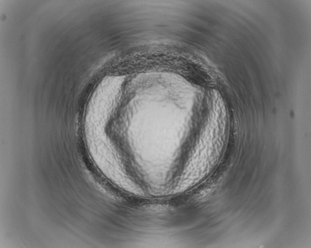 X0000065260637200603131203