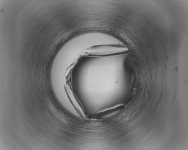 X0000065260639200603131203