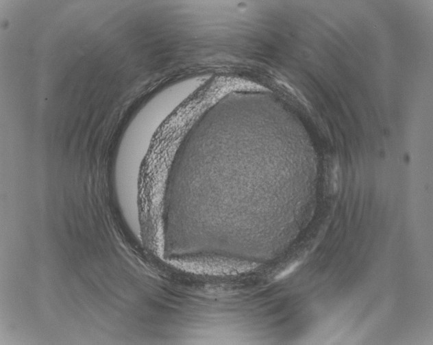 X0000065260641200603131203