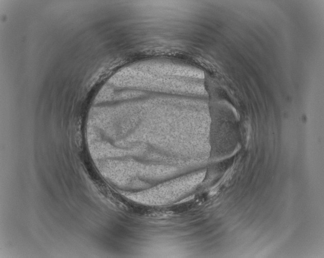 X0000065260642200603131203