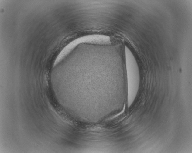 X0000065260643200603131203