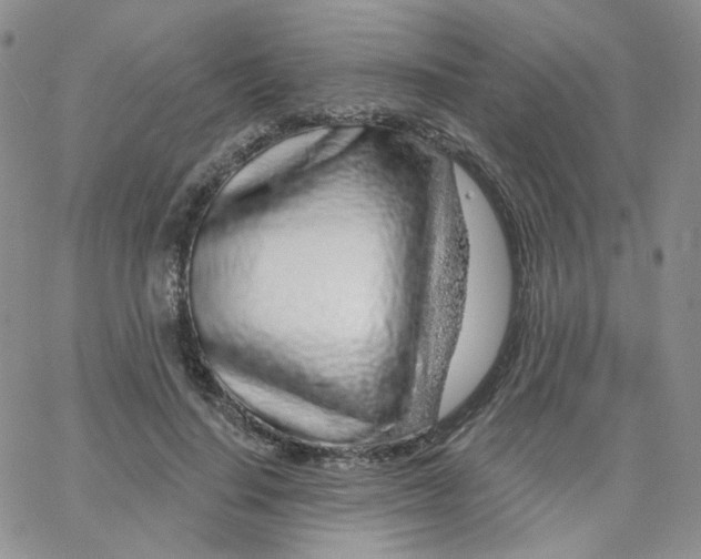 X0000065260644200603131203