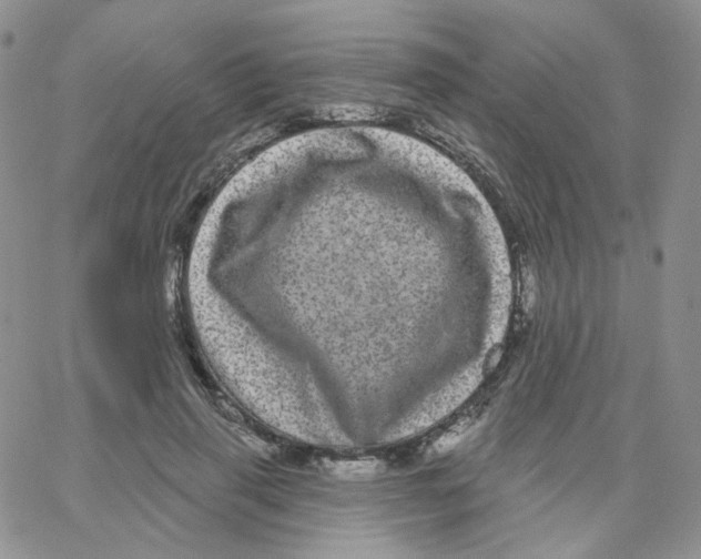 X0000065260645200603131203