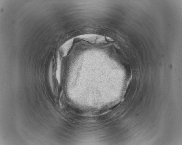 X0000065260651200603131203