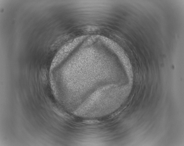 X0000065260654200603131203