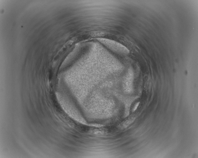 X0000065260655200603131204