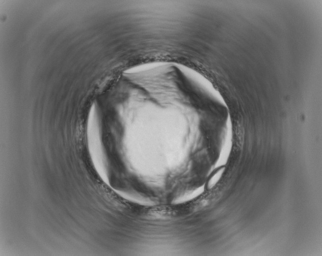 X0000065260657200603131204