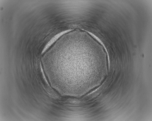 X0000065260658200603131204