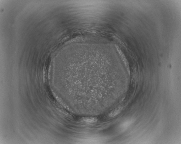 X0000065260659200603131204