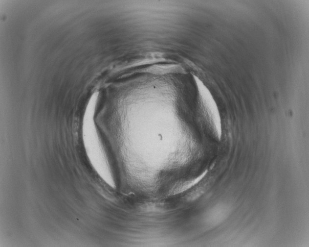 X0000065260664200603131204