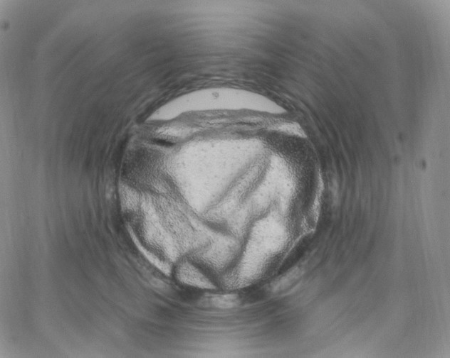 X0000065260665200603131204