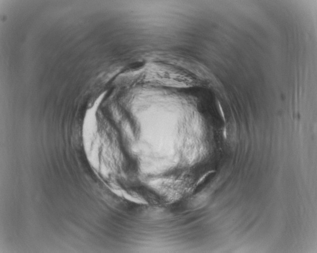 X0000065260669200603131204