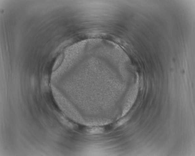 X0000065260670200603131204