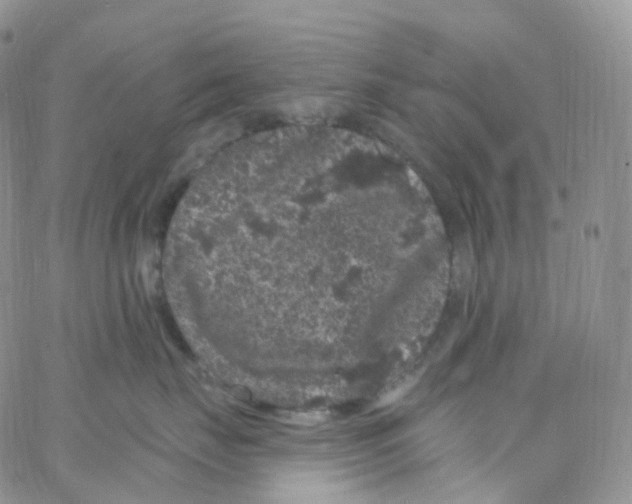 X0000065260671200603131204