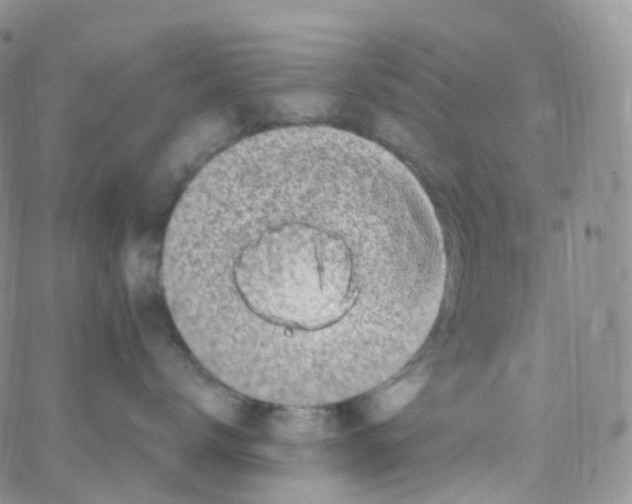 X0000065260672200603131204