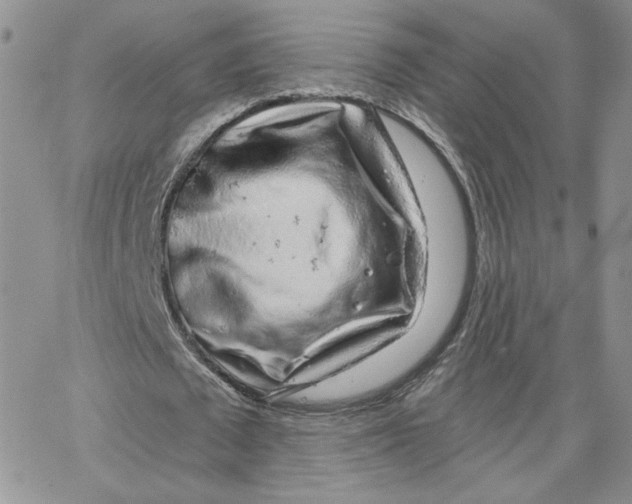 X0000065260673200603131203