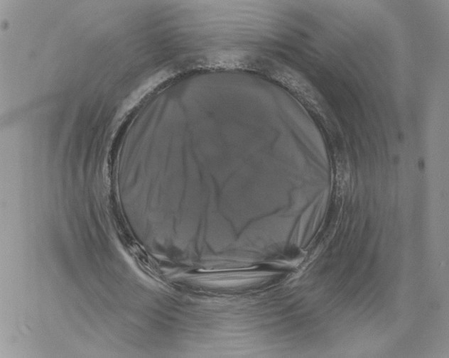 X0000065260674200603131203