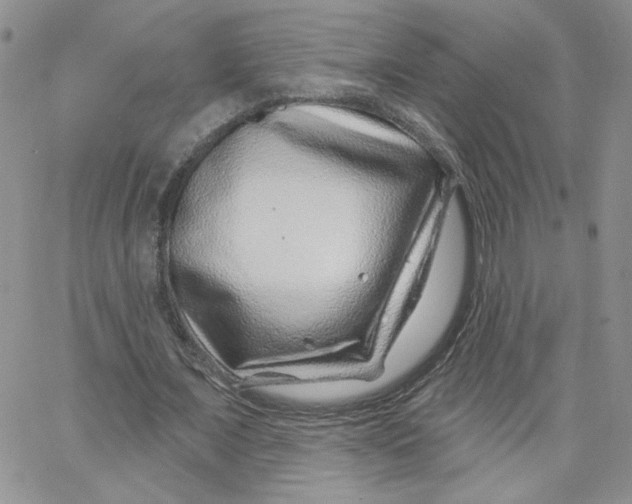 X0000065260675200603131203