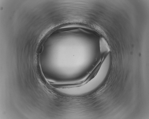 X0000065260676200603131203