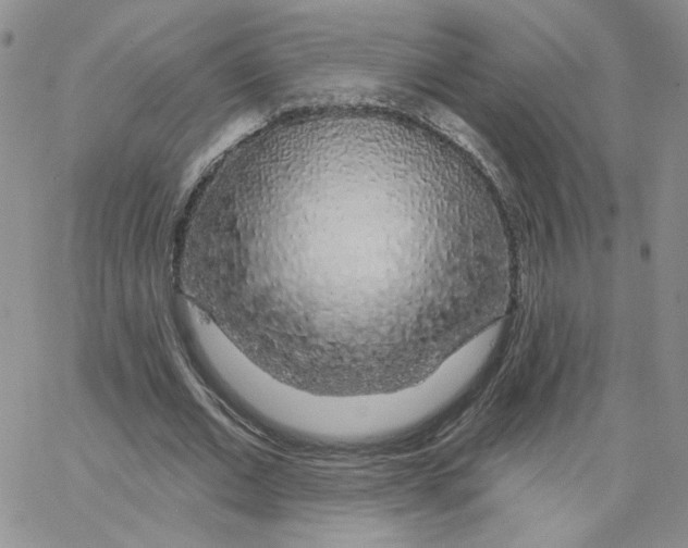 X0000065260677200603131203