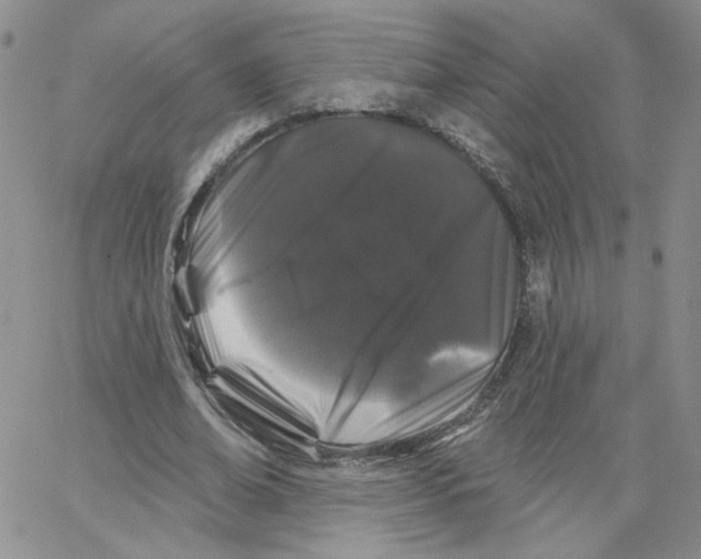 X0000065260678200603131203