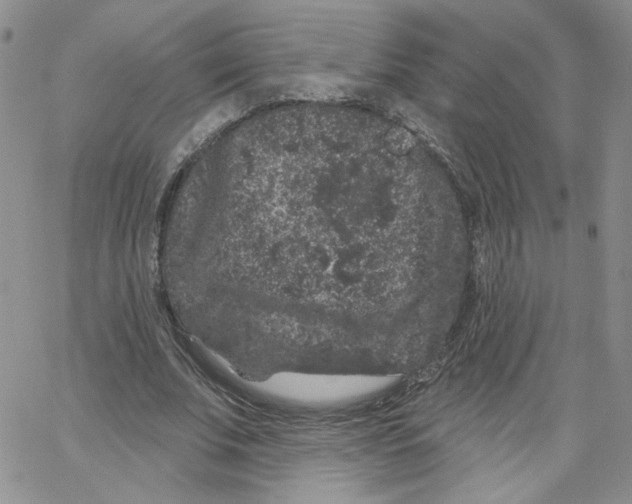 X0000065260679200603131203