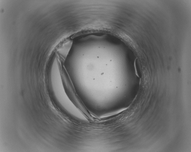 X0000065260680200603131203