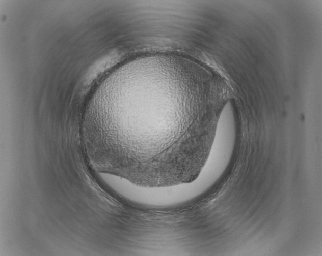 X0000065260681200603131203