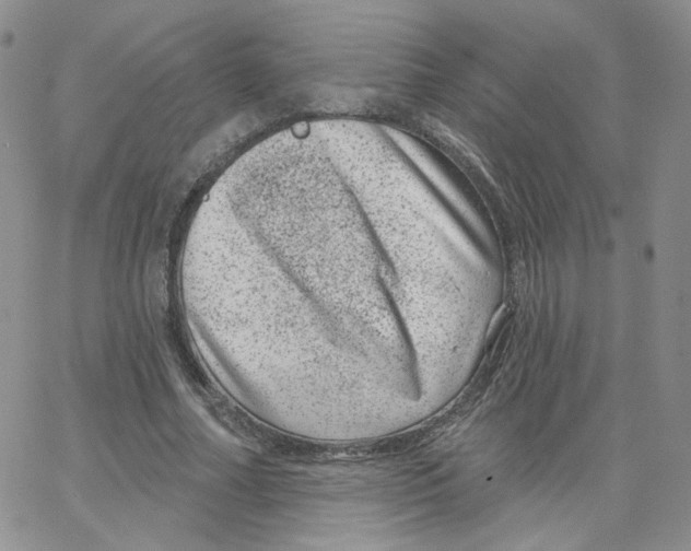 X0000065260682200603131203