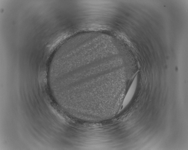 X0000065260683200603131203