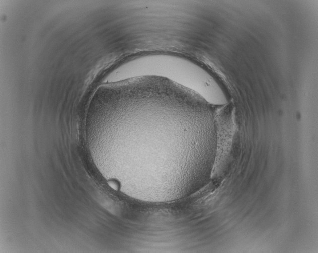 X0000065260685200603131203