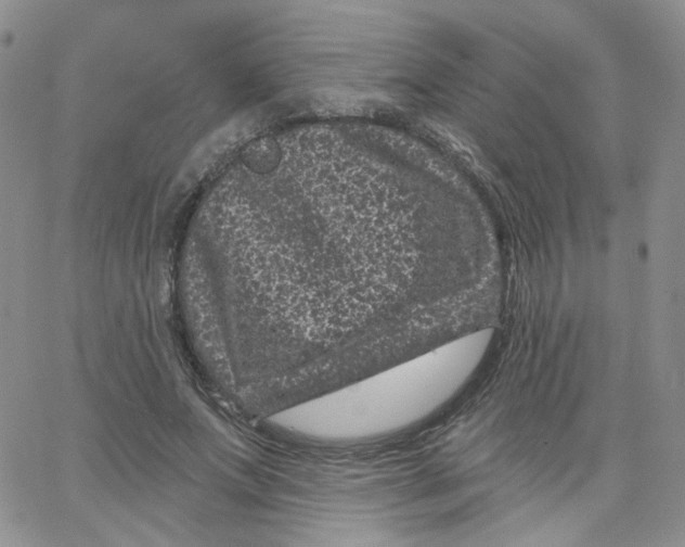 X0000065260687200603131203