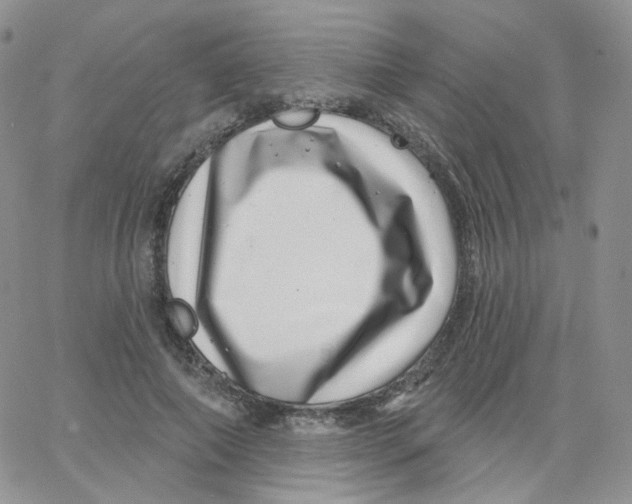 X0000065260690200603131203