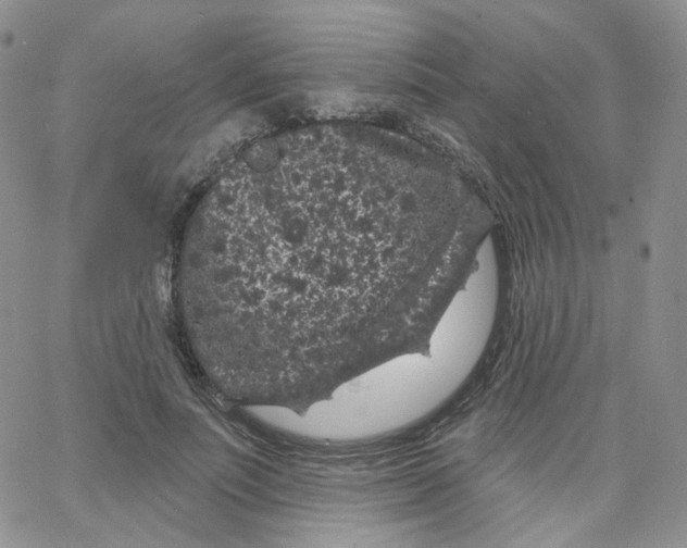 X0000065260691200603131203