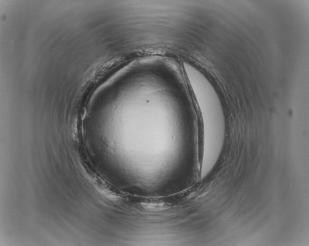 X0000065260693200603131203