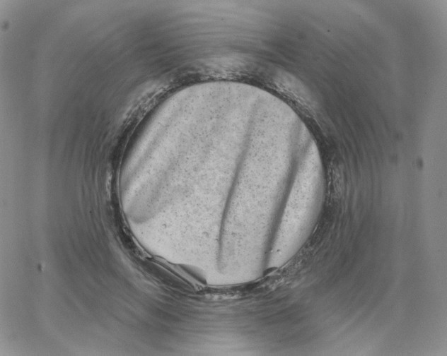 X0000065260694200603131203