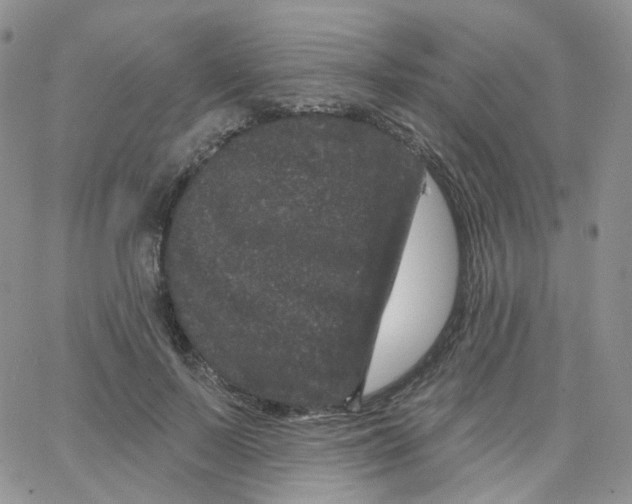 X0000065260695200603131203