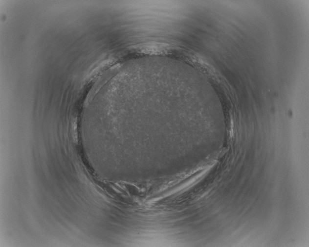 X0000065260696200603131203