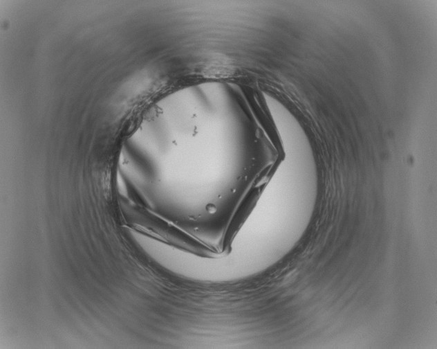 X0000065260697200603131203