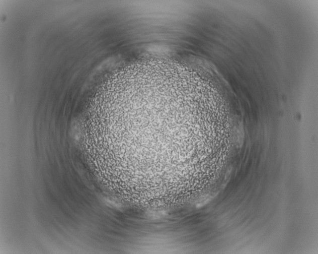 X0000065260701200603131203