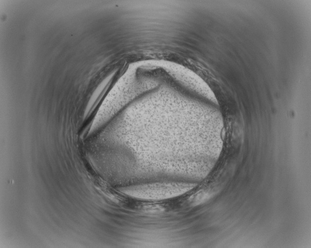 X0000065260702200603131203