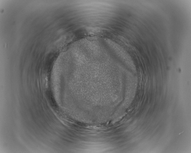 X0000065260703200603131203