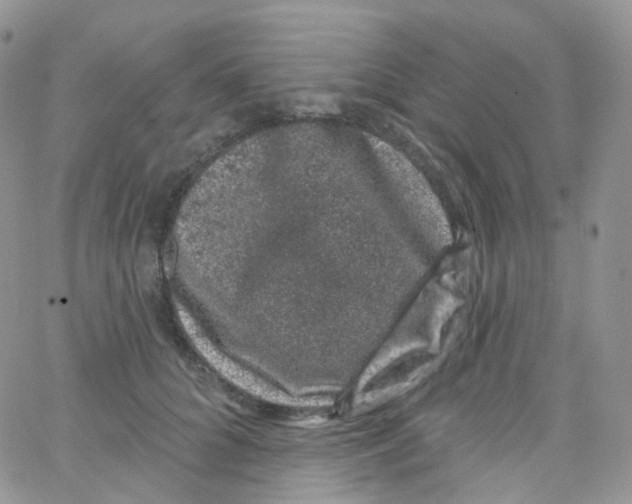 X0000065260704200603131202