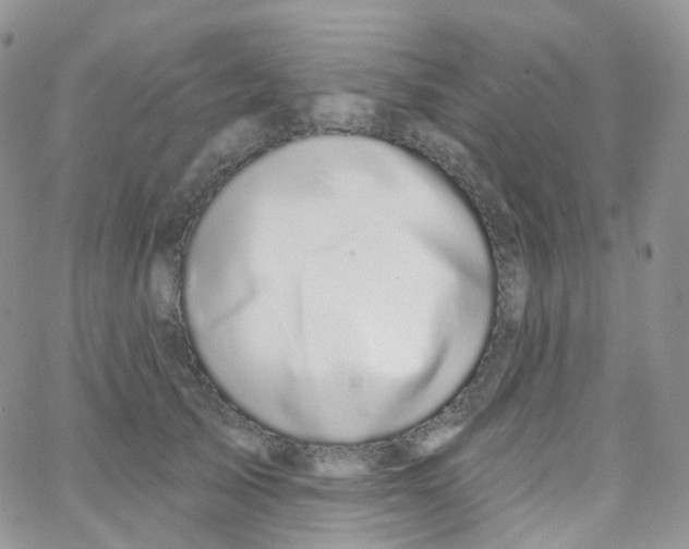 X0000065260705200603131202