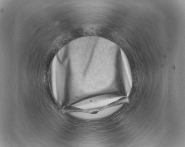 X0000065260706200603131202