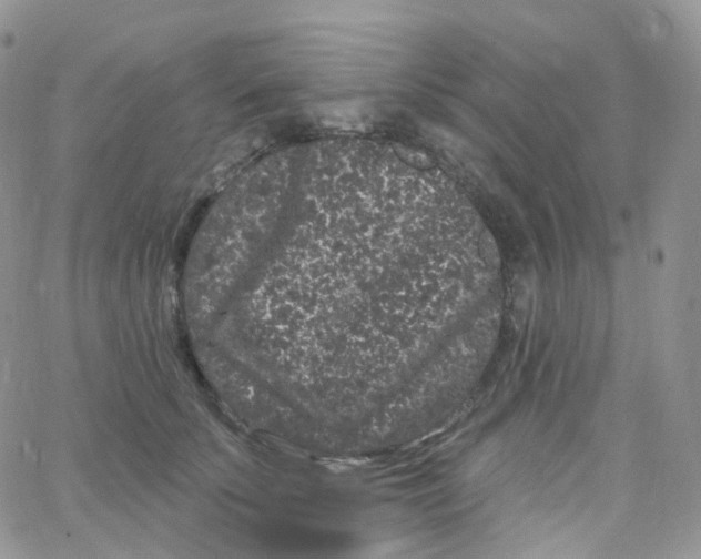 X0000065260707200603131202