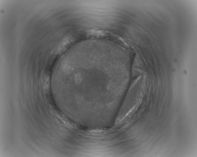 X0000065260708200603131202