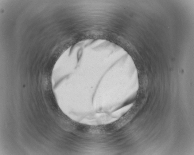 X0000065260709200603131202