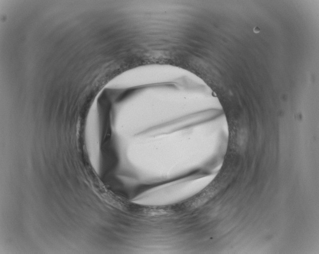 X0000065260710200603131202